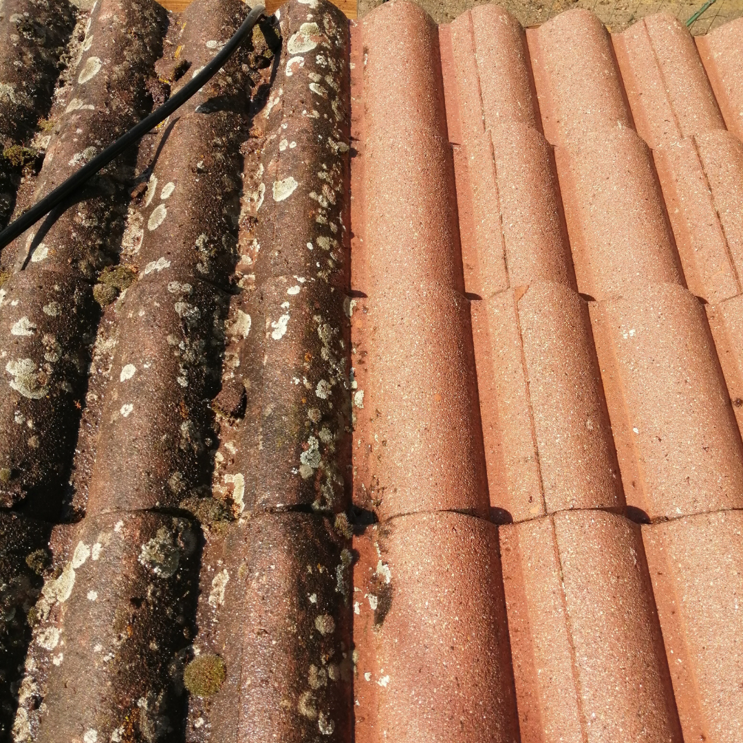 Démoussage toit LTD VERCORS Démoussage toit LTD VERCORS